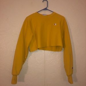 Cropped Champion Crewneck